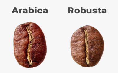 Arabica vagy Robusta? Különbség, íz, ár — egy helyen (2023)